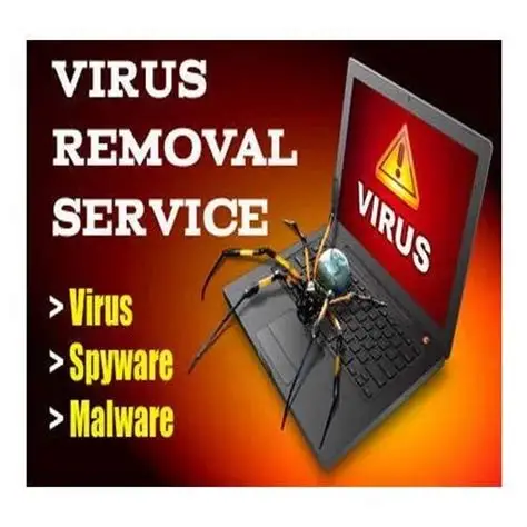 Virus & Malware Removal